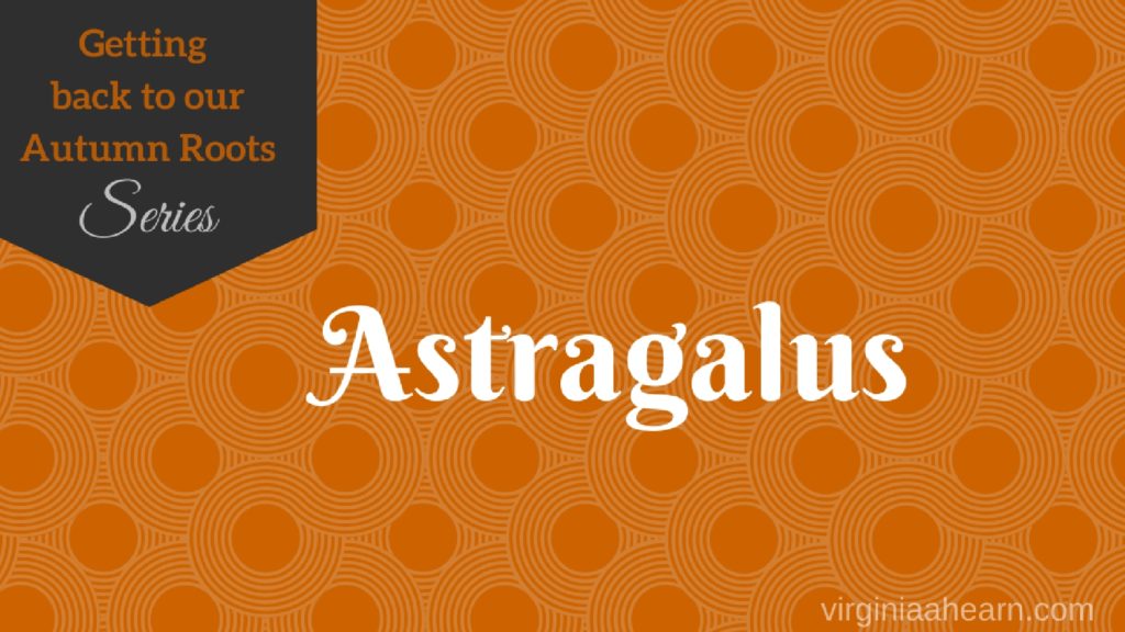 astragalus